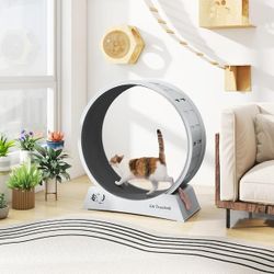 Cat Treadmill Exercise Wheel Lockable, Large, NEW 
Brand new in box 
