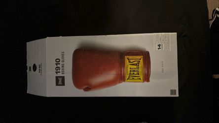 Everlast 1910 Boxing Gloves 14oz