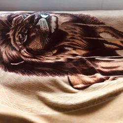 Blanket 