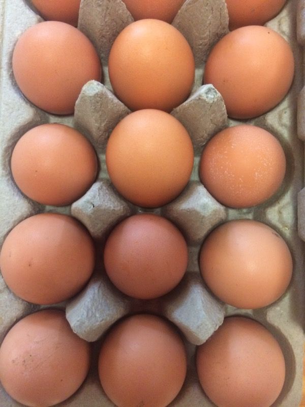 Farm fresh eggs