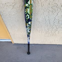 Baseball Bat 34