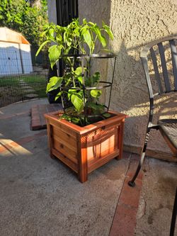 Planter box
