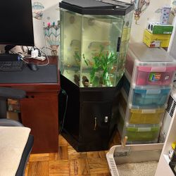 Fish Tank