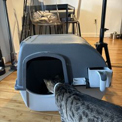 FREE CAT LITTER BOXES 