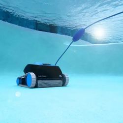 Nautilus cc Dolphin Pool Cleaner With The Stand