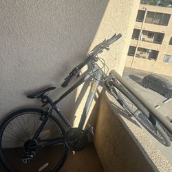 Diamondback