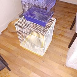 Parrot Cage