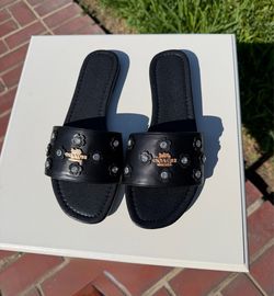 Sandals coach