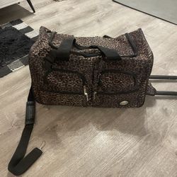 Carryon Size Luggage