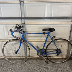 Medium/Large Men’s Bike