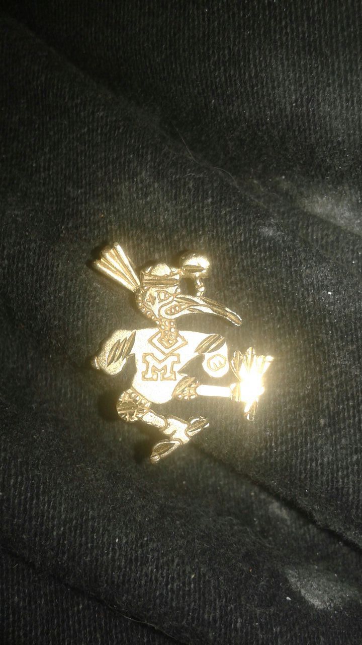 14k gold Miami Hurricanes ibis pendant