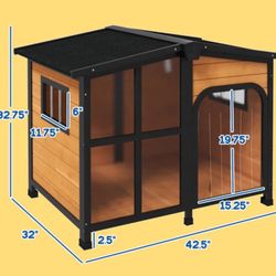 Modern Dog House