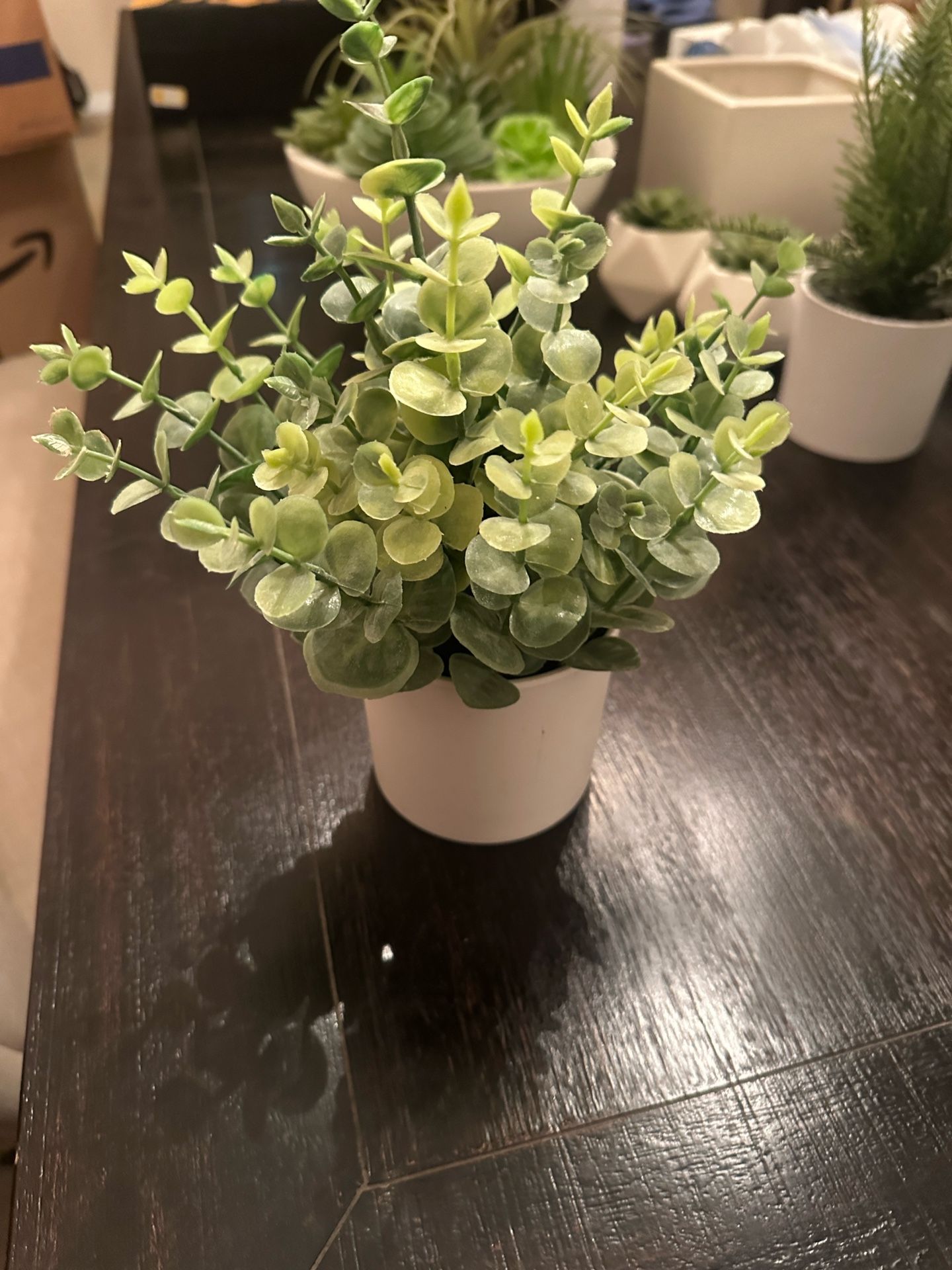 Plants/ Home Decor