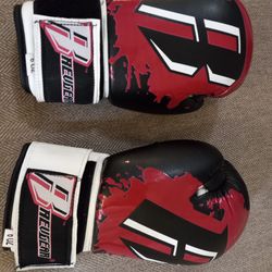 Kids KICK Boxing Gloves And SHIN Guards