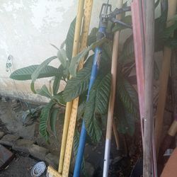 All Kinds Of Lawns Stuff Pick Up Only