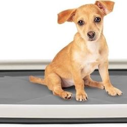 IRIS USA Pee Pad Holder Small Sized Dog Pee Pads Secured Latches, Non