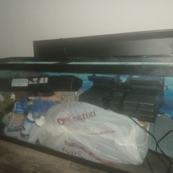 55 Gal Fish Wit Lot Everything  