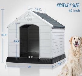 Dog House