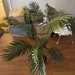 Fake Plant Tree