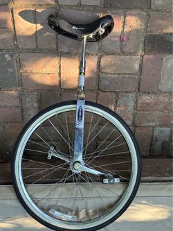Schwinn Unicycle