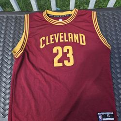 Men's LeBron James Wine Cleveland Cavaliers 2015/16 Authentic Jersey