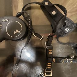 Flexi Dog Leash/Harness