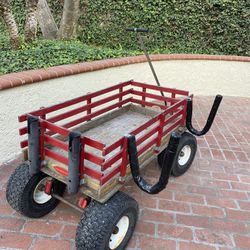 Beach Wagon (kid & Gear Hauler)