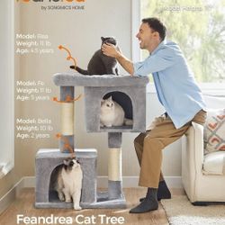 XL, Cat Condo for Extra Large Cats up to 44 lb, Large Cat Perch,✨😺😺😺
