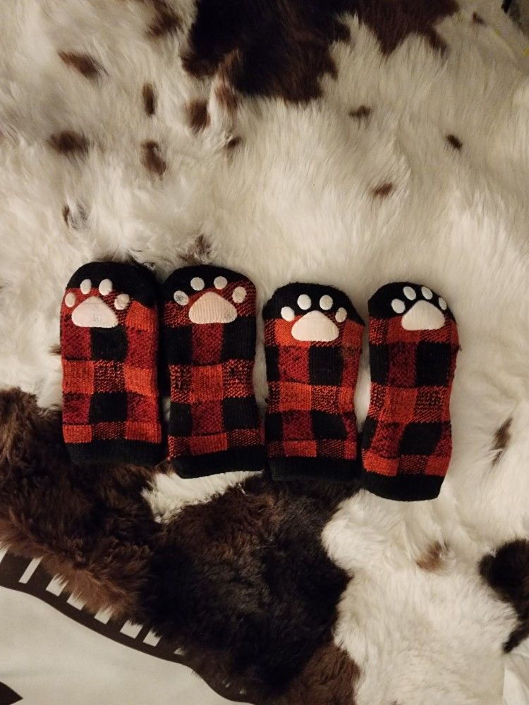 Doggie Socks 
