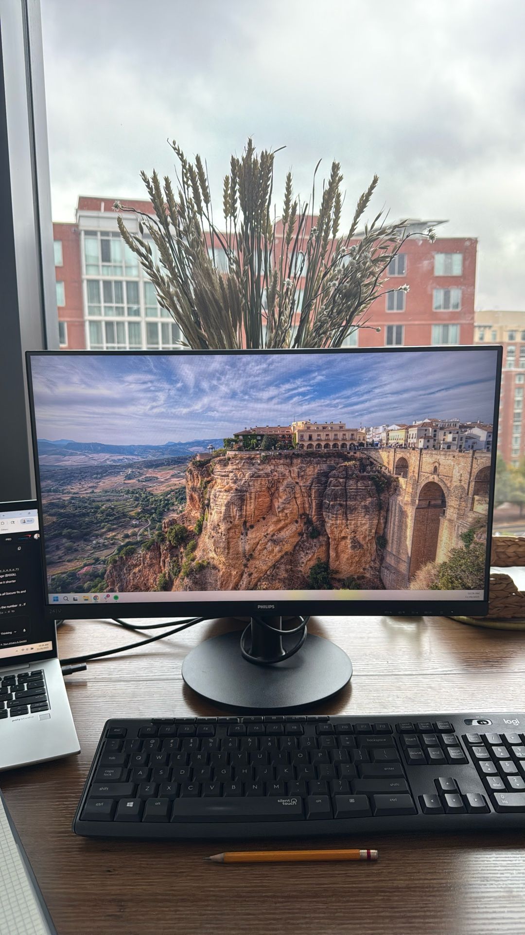 Philips 24” Monitor