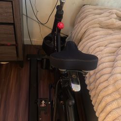 Exercise Bike (Real Rider ABF8) 