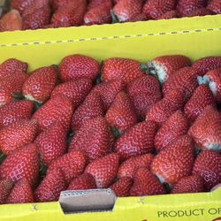 Strawberry
