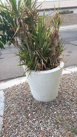 Planters