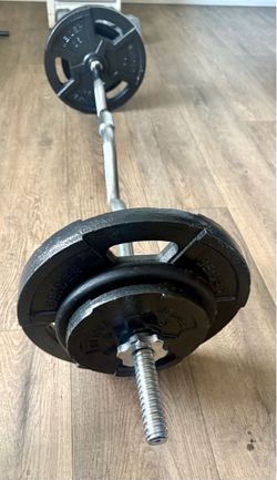 Standard Super Curl Bar with Weider Weight Plates 25s, 10s and 5s. (Total: 98 lbs)