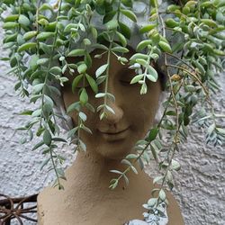 Girl Head Planter With Succulents 55