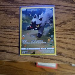 Pokémon Poochyena Crown Zenith 