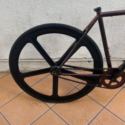 Golden Cycle Fixie❗️(Read DESC!)