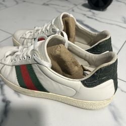 Gucci Shoes 
