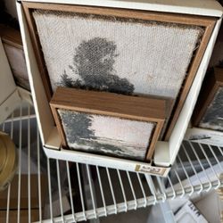 I Have Atleast 50 Wall Arts Brand New Target Clearance 