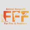 Fur Fins & Feathers