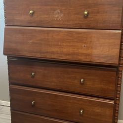 Project Dresser