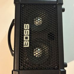 BOSS DUAL Cube Bass LX (PORTABLE AMP!) 