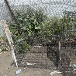 Dog Crates 
