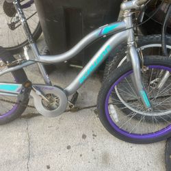 Elektra Bicycle 