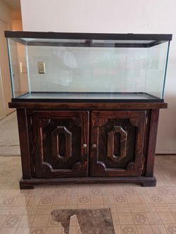Fish aquarium