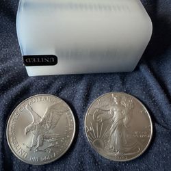 1 Oz Silver Eagles And 10 Oz Bars