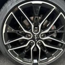 Spectra Rio Kia Stinger Rims Optima Forte Wheels Soul Cadenza Sedona Sorento