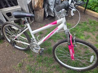 Roadmaster bike