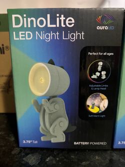 LED Night light