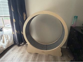 Cat Exercise Wheel